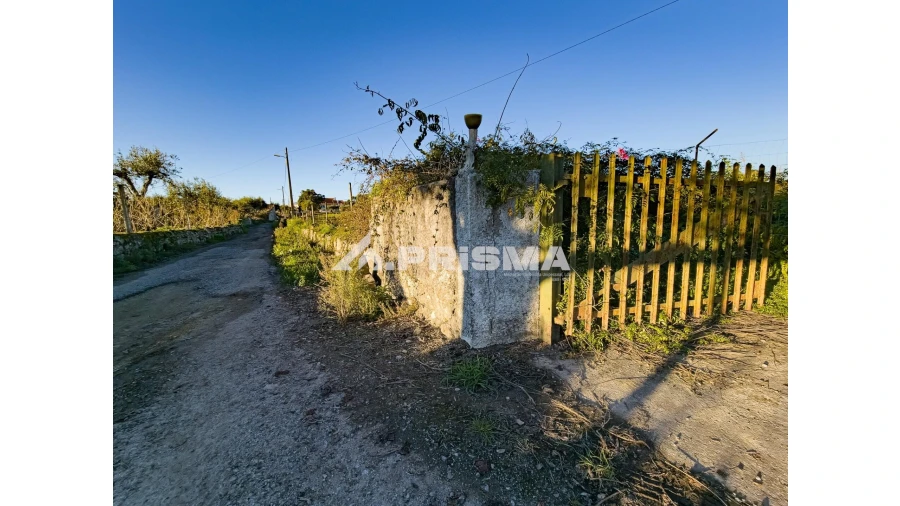 Quinta T2 para Venda em Lardosa Foto 31