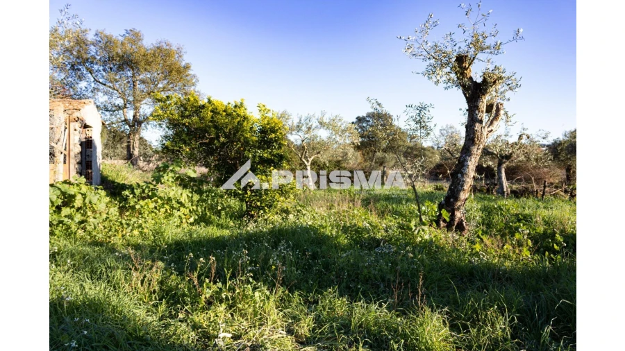 Quinta T2 para Venda em Lardosa Foto 24