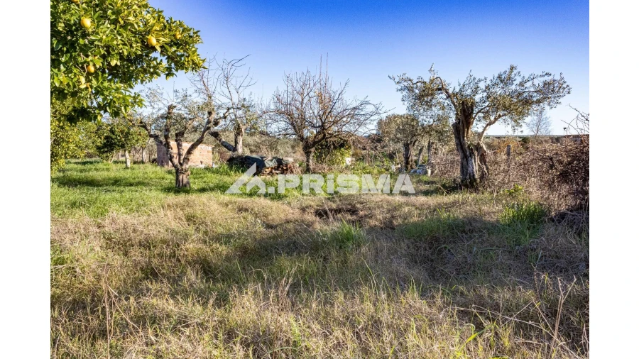 Quinta T2 para Venda em Lardosa Foto 18