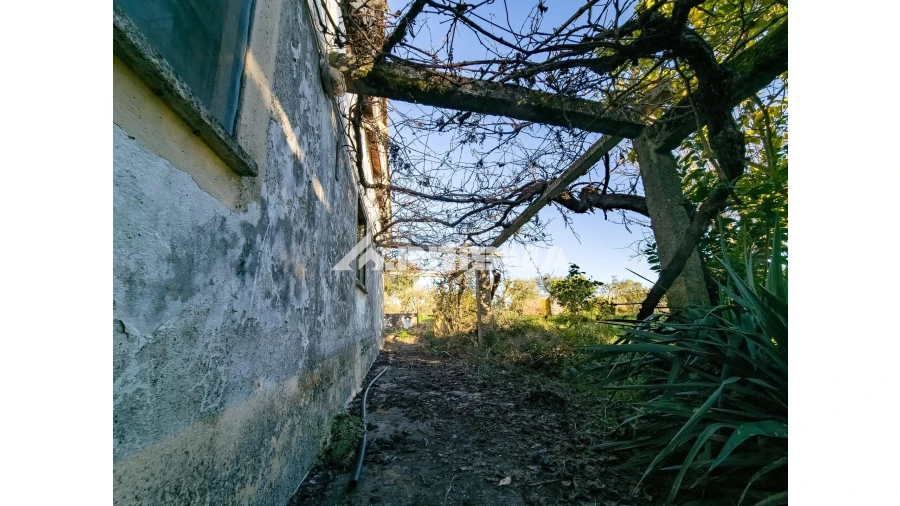 Quinta T2 para Venda em Lardosa Foto 15