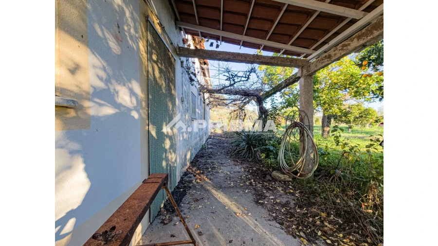 Quinta T2 para Venda em Lardosa Foto 17