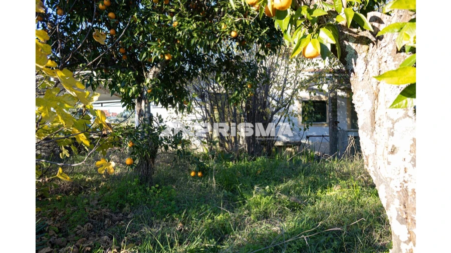 Quinta T2 para Venda em Lardosa Foto 19