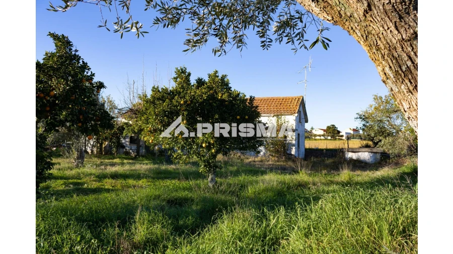 Quinta T2 para Venda em Lardosa Foto 2