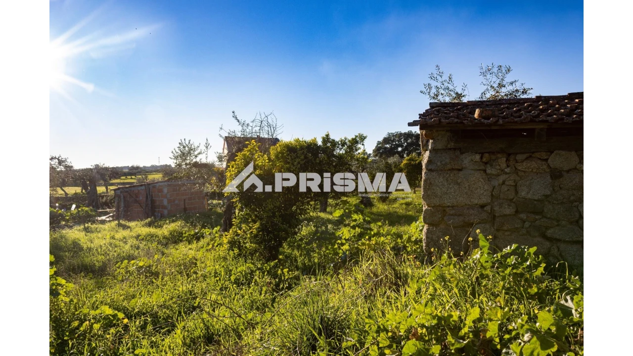 Quinta T2 para Venda em Lardosa Foto 22