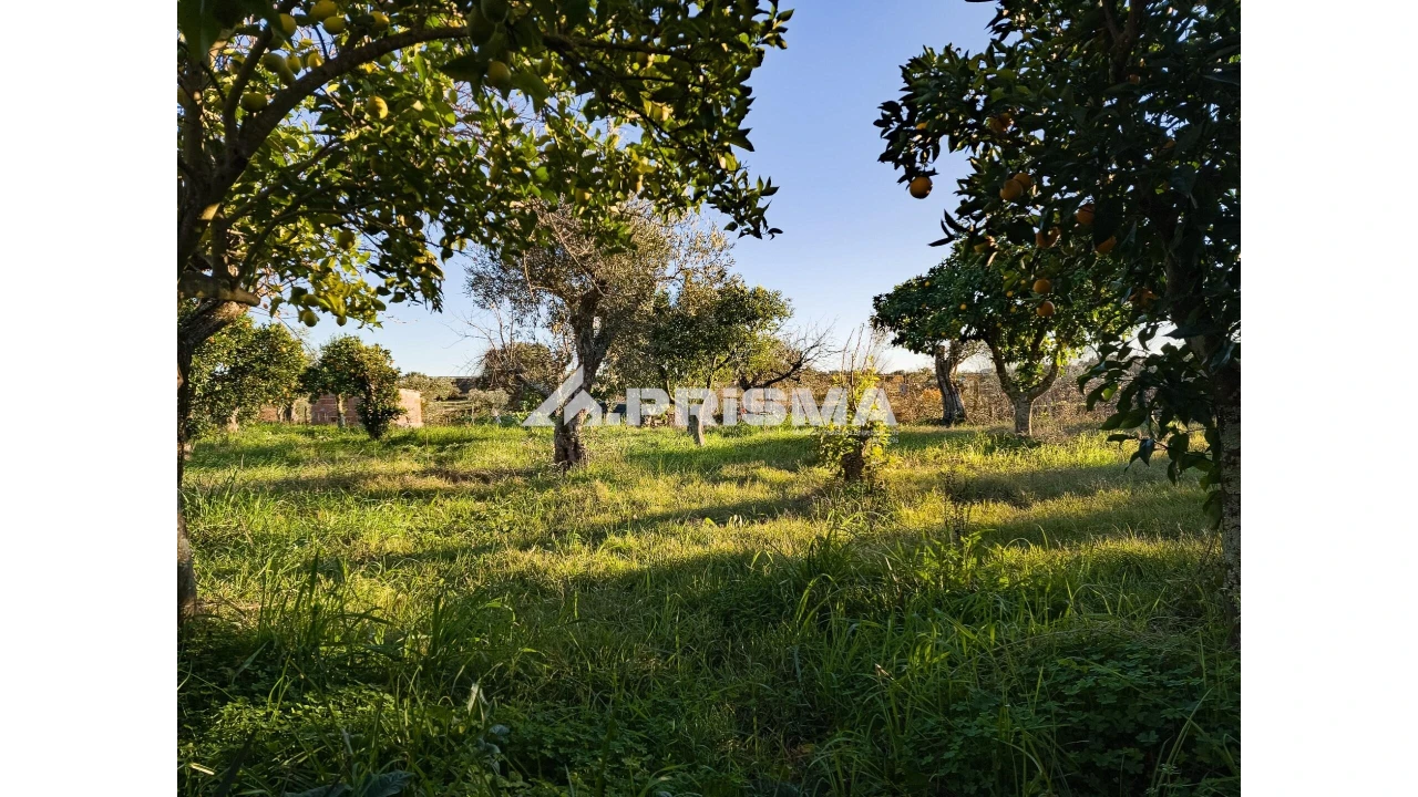 Quinta T2 para Venda em Lardosa Foto 14