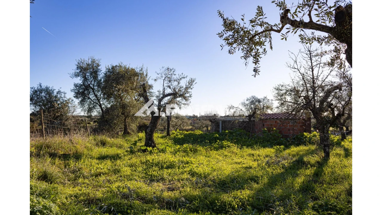 Quinta T2 para Venda em Lardosa Foto 21