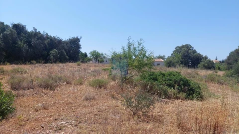 Terreno para Venda em Silves