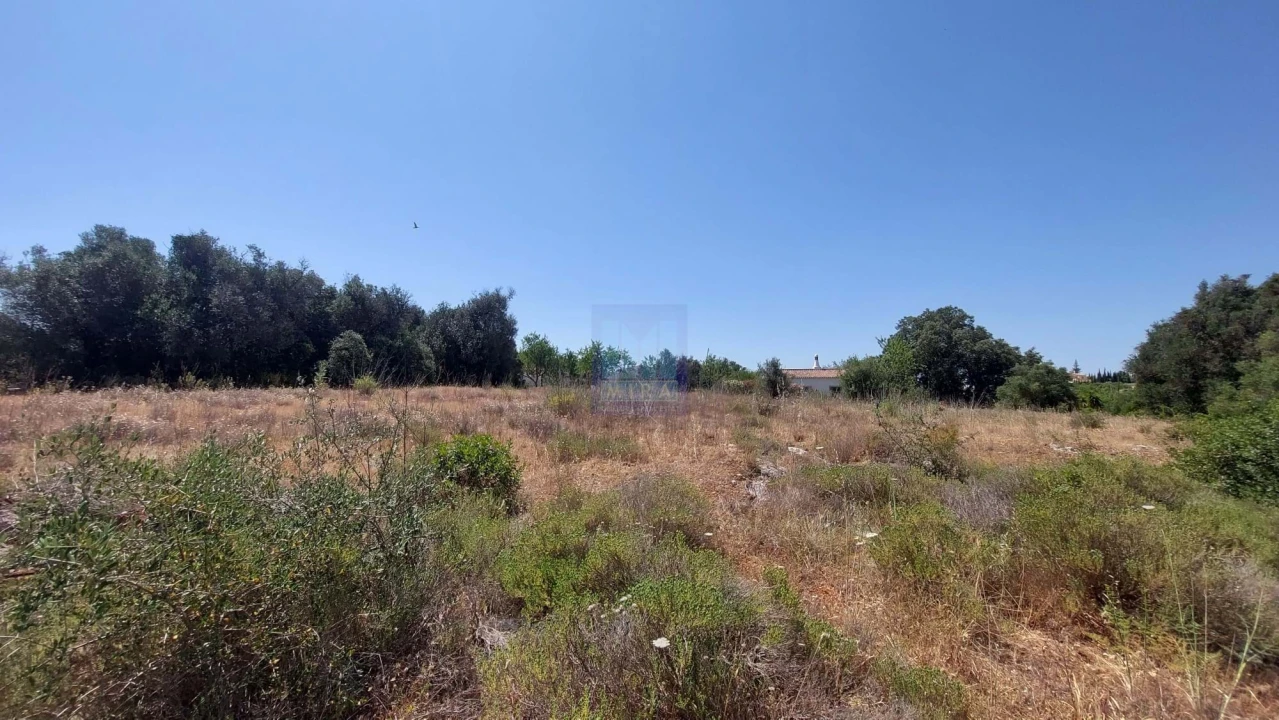 Terreno para Venda em Silves Foto 2