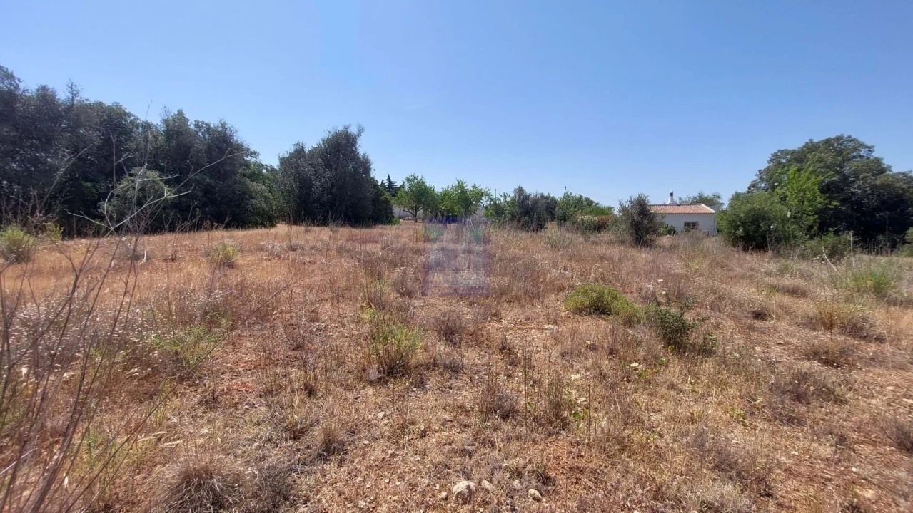 Terreno para Venda em Silves Foto 4
