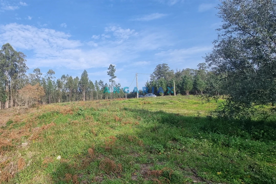 Terreno para Venda em Maceira Foto 1