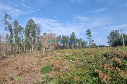 Terreno para Venda em Maceira