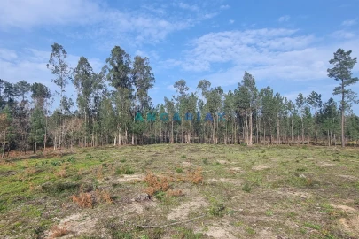Terreno para Venda em Maceira