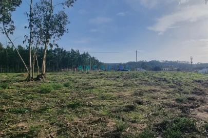 Terreno para Venda em Maceira