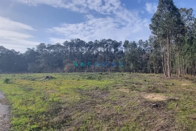 Terreno para Venda em Maceira