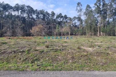 Terreno para Venda em Maceira