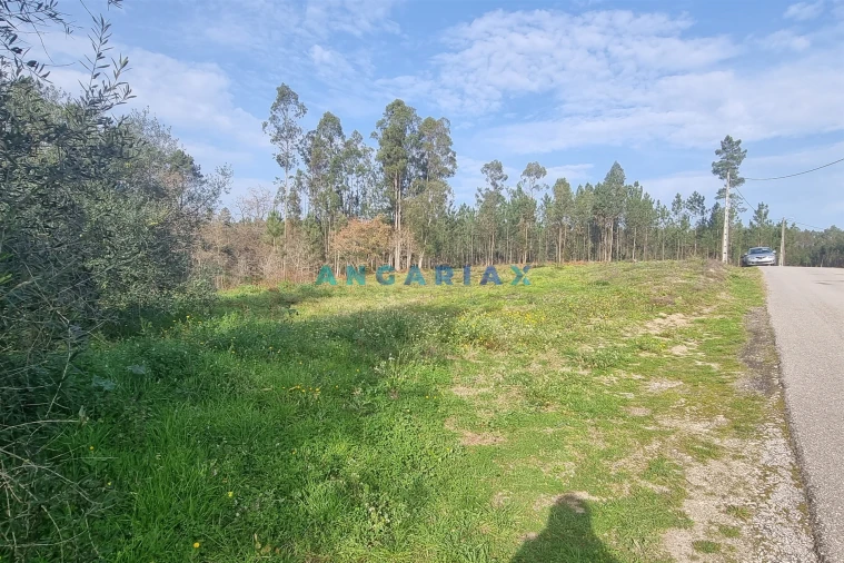 Terreno para Venda em Maceira Foto 12