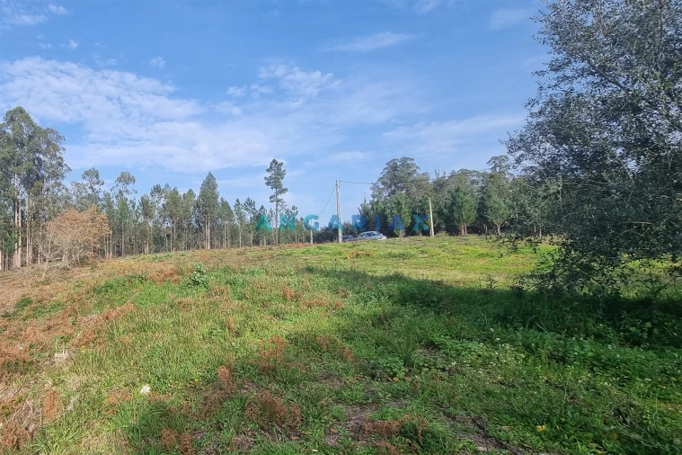 Terreno para Venda em Maceira