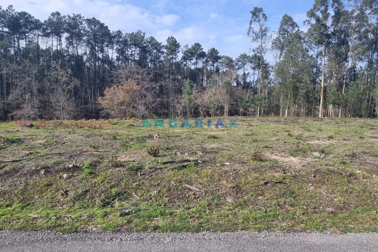 Terreno para Venda em Maceira Foto 9