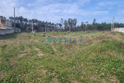 Terreno para Venda em Maceira