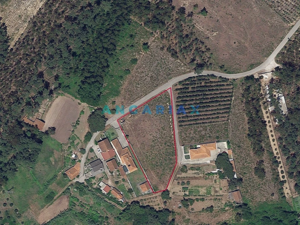 Terreno para Venda em Maceira Foto 16