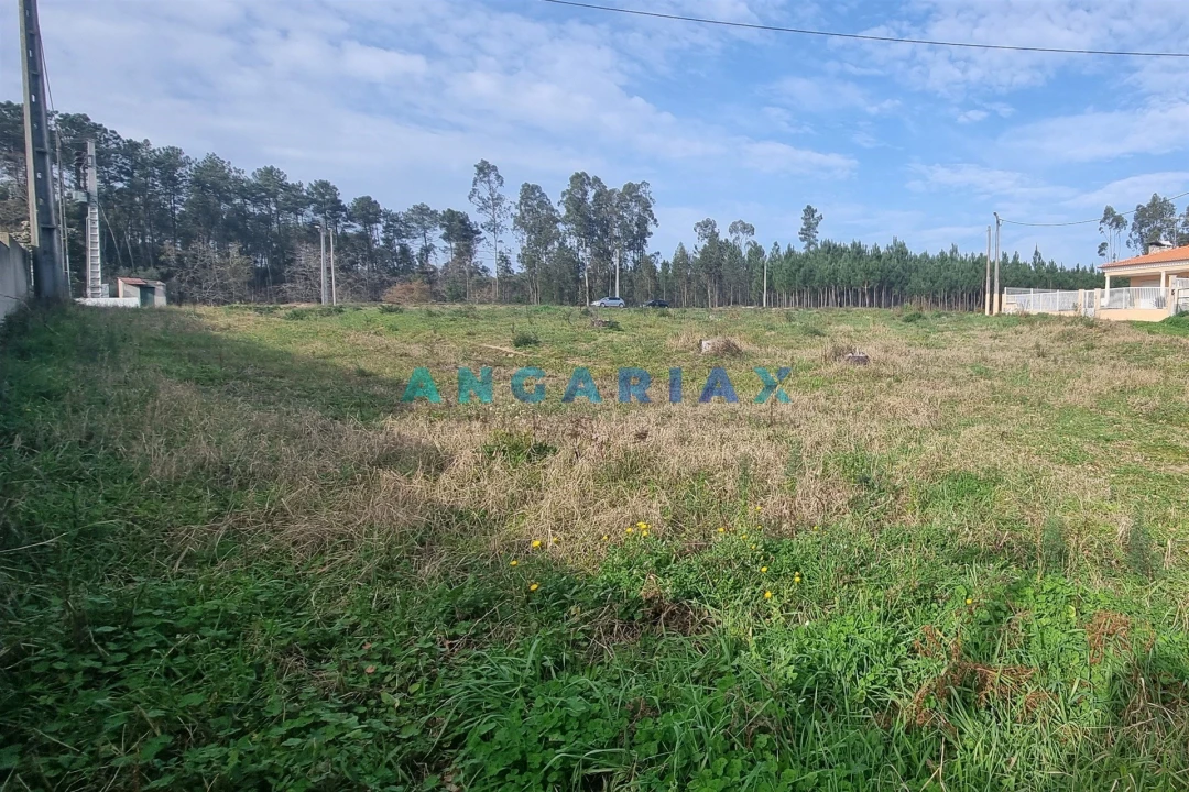 Terreno para Venda em Maceira Foto 14