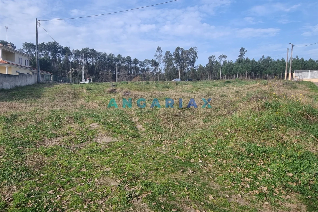 Terreno para Venda em Maceira Foto 13