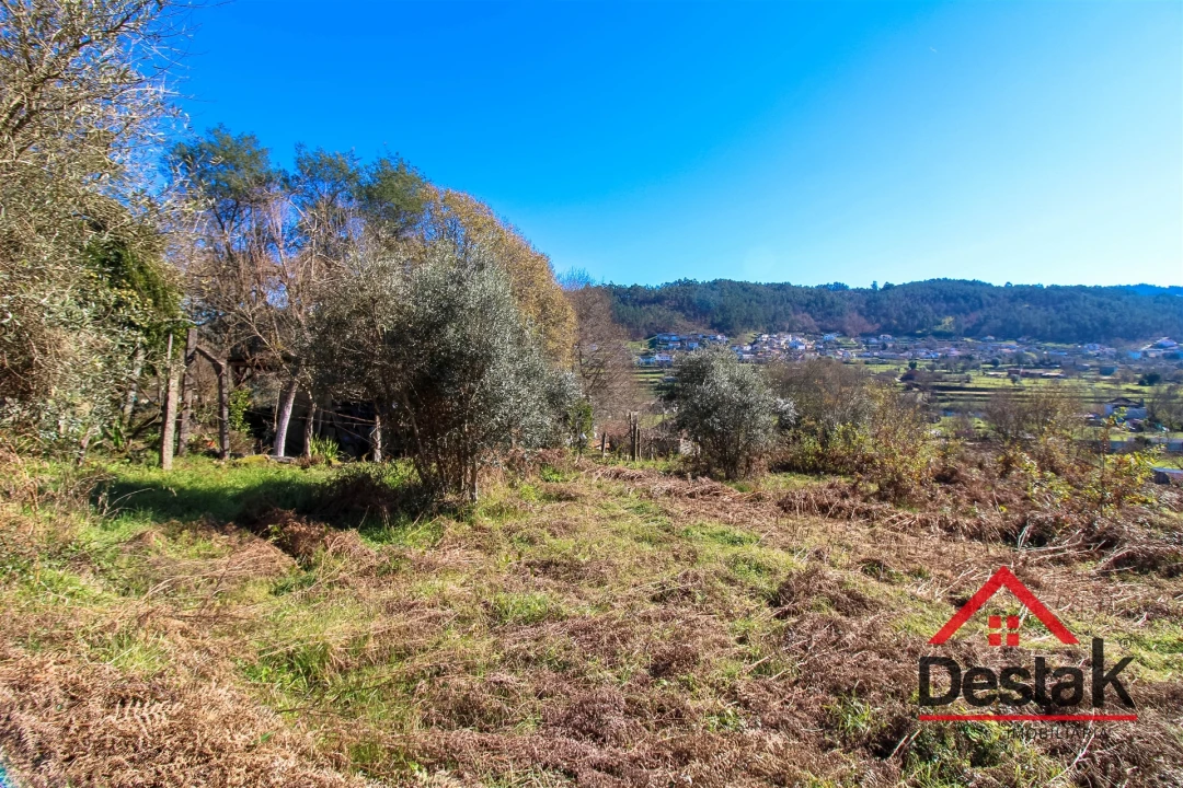 Terreno para Venda em São Pedro do Sul, Várzea e Baiões Foto 21
