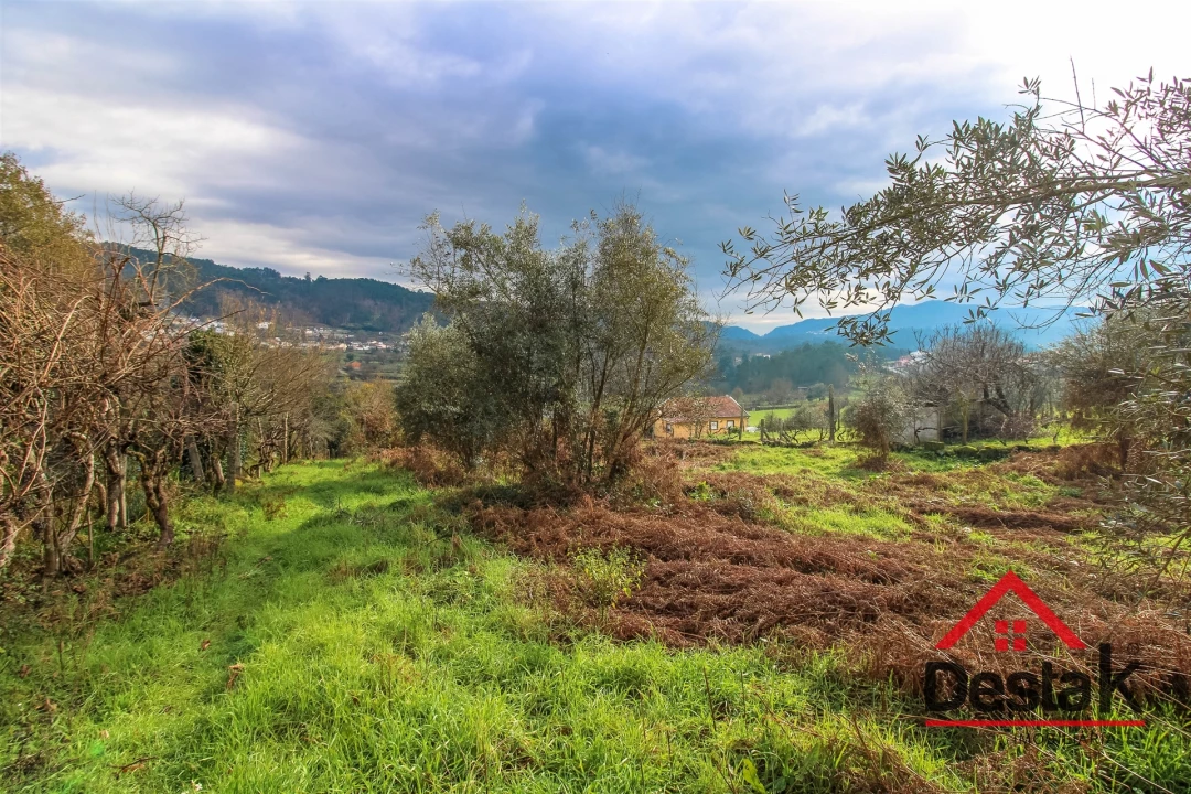 Terreno para Venda em São Pedro do Sul, Várzea e Baiões Foto 10
