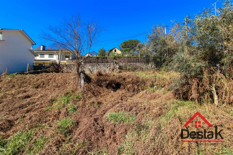 Terreno para Venda em São Pedro do Sul, Várzea e Baiões Foto 20