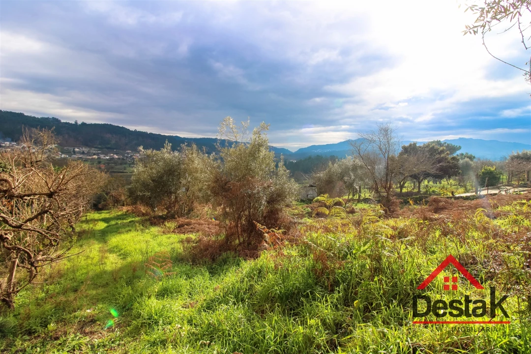 Terreno para Venda em São Pedro do Sul, Várzea e Baiões Foto 9