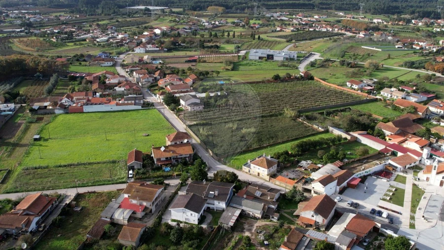 Terreno para Venda em Amoreira da Gândara, Paredes do Bairro e Ancas Foto 16