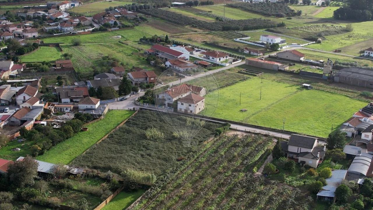 Terreno para Venda em Amoreira da Gândara, Paredes do Bairro e Ancas Foto 8