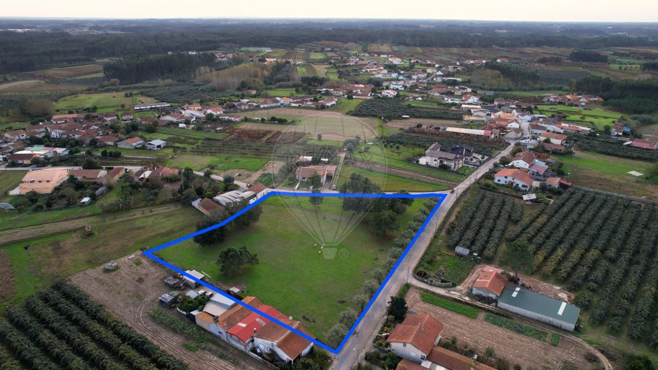 Terreno para Venda em São Lourenço do Bairro Foto 17
