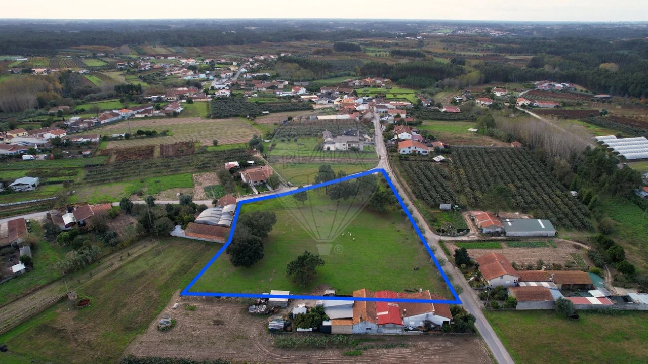 Terreno para Venda em São Lourenço do Bairro Foto 5