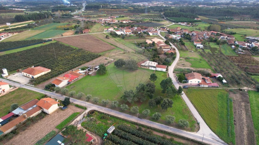 Terreno para Venda em São Lourenço do Bairro Foto 8
