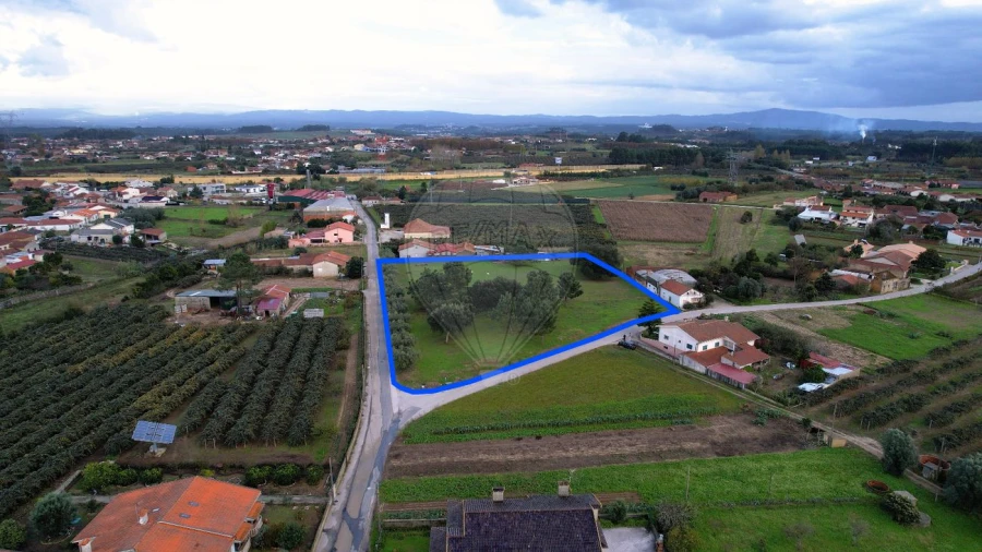 Terreno para Venda em São Lourenço do Bairro Foto 2