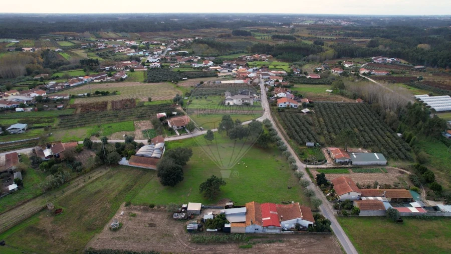 Terreno para Venda em São Lourenço do Bairro Foto 6
