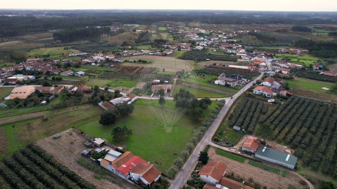 Terreno para Venda em São Lourenço do Bairro Foto 18