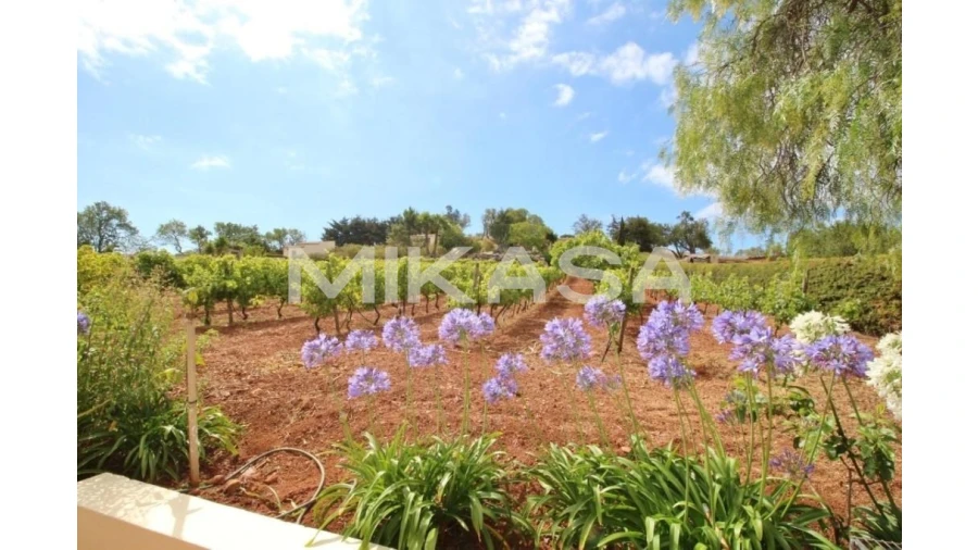 Quinta T7 para Venda em Luz Foto 10