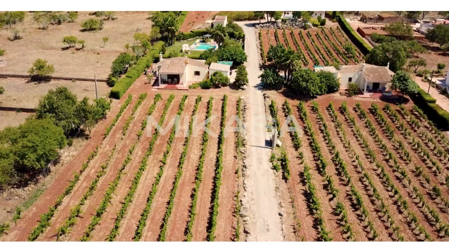 Quinta T7 para Venda em Luz Foto 21