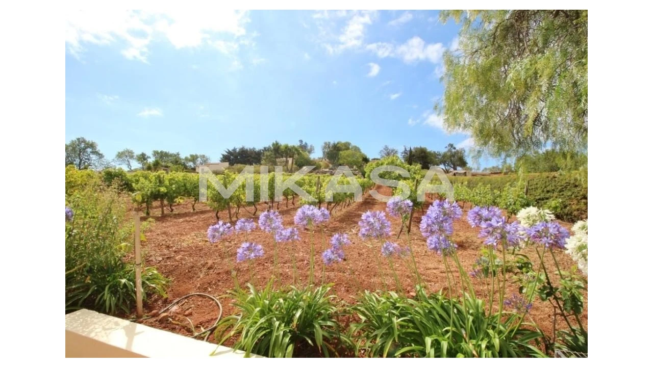 Quinta T7 para Venda em Luz Foto 10