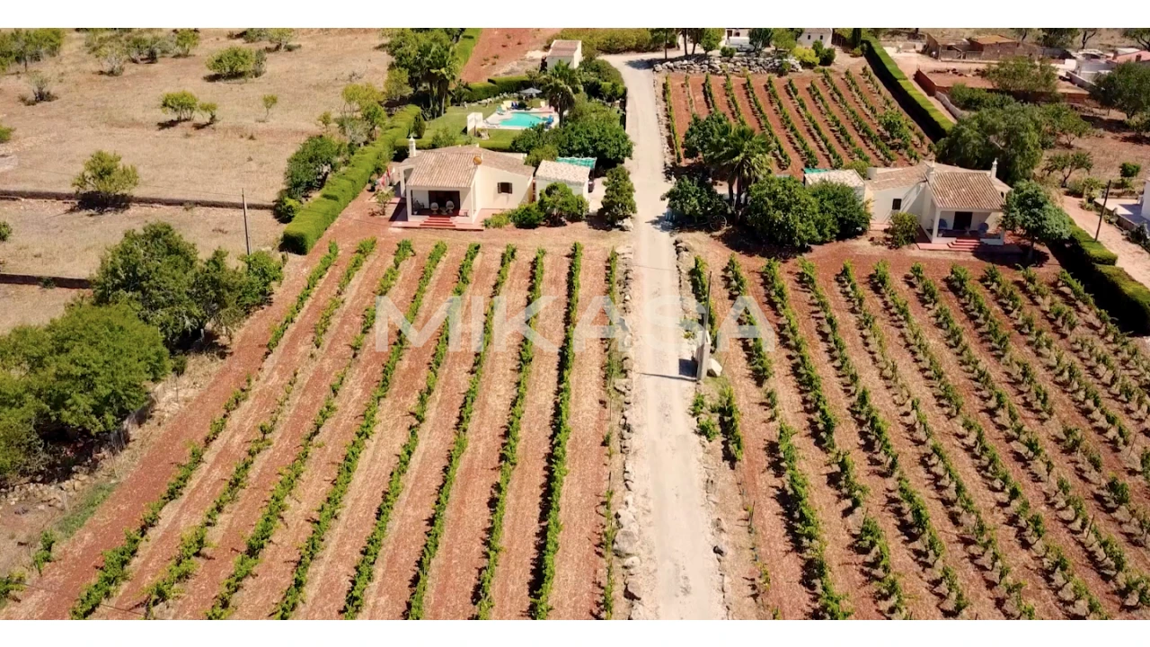 Quinta T7 para Venda em Luz Foto 21