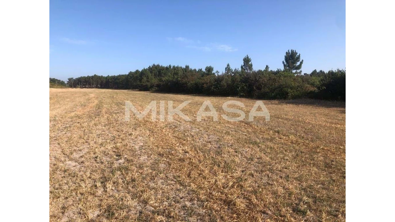 Terreno para Venda em Rogil Foto 13