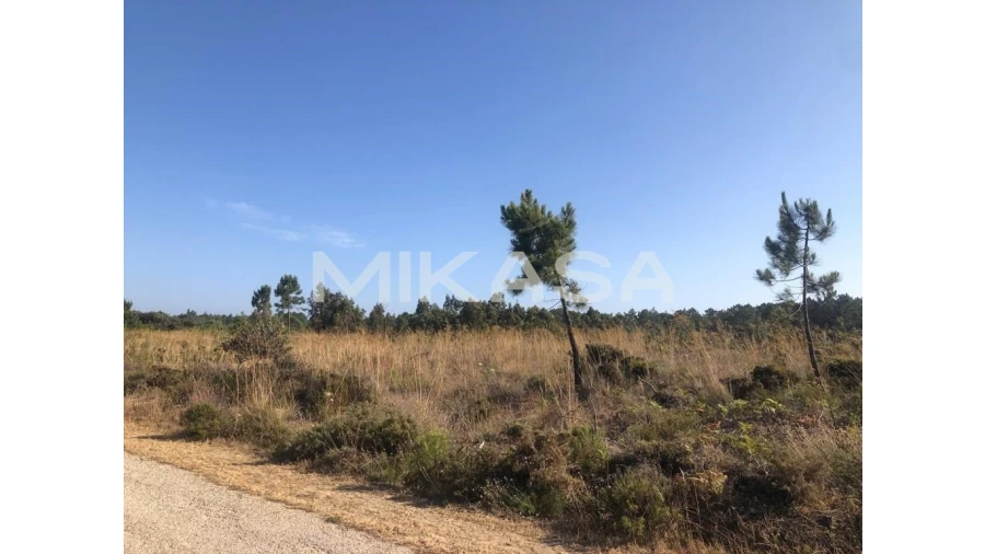 Terreno para Venda em Rogil Foto 12