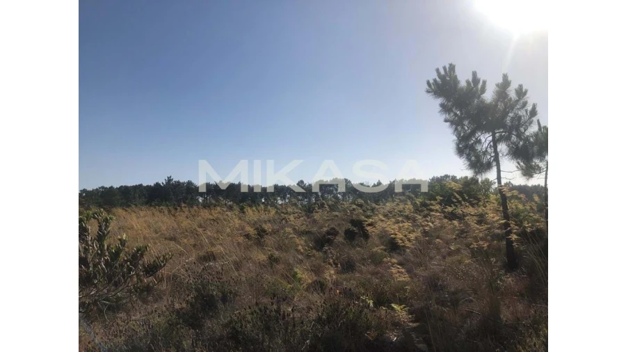 Terreno para Venda em Rogil Foto 10