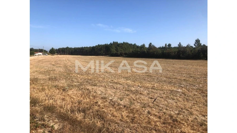 Terreno para Venda em Rogil Foto 17