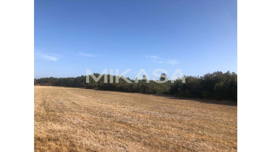 Terreno para Venda em Rogil Foto 18