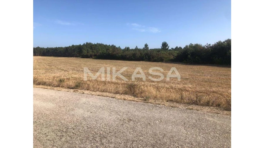 Terreno para Venda em Rogil Foto 9