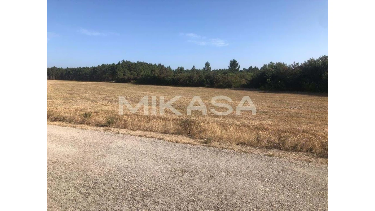 Terreno para Venda em Rogil Foto 9