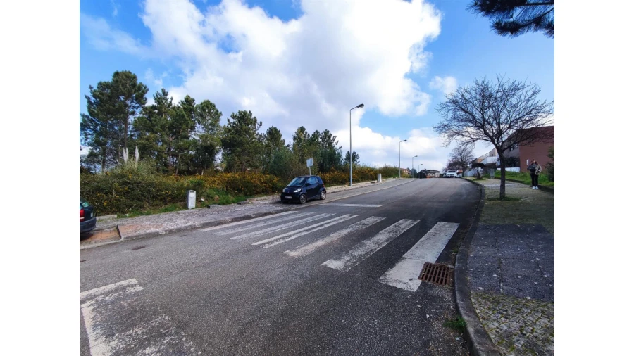 Terreno para Venda em Santo Antonio dos Olivais Foto 3